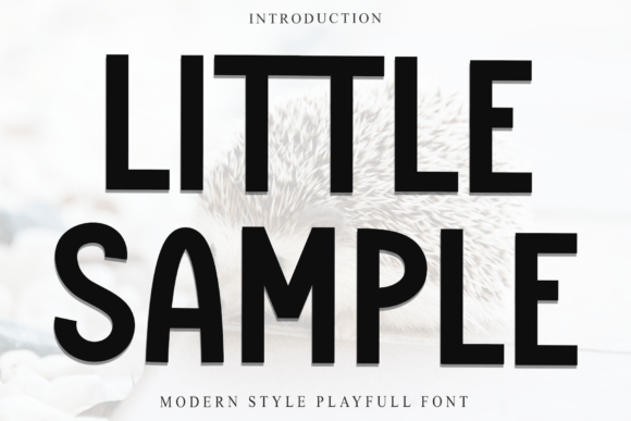 Little Sample: The Friendly Typeface That Upgraded My Brand Identity