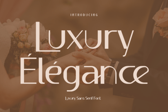 Luxury Élégance: The Sans Serif Typeface for Clearer Campaign Messaging